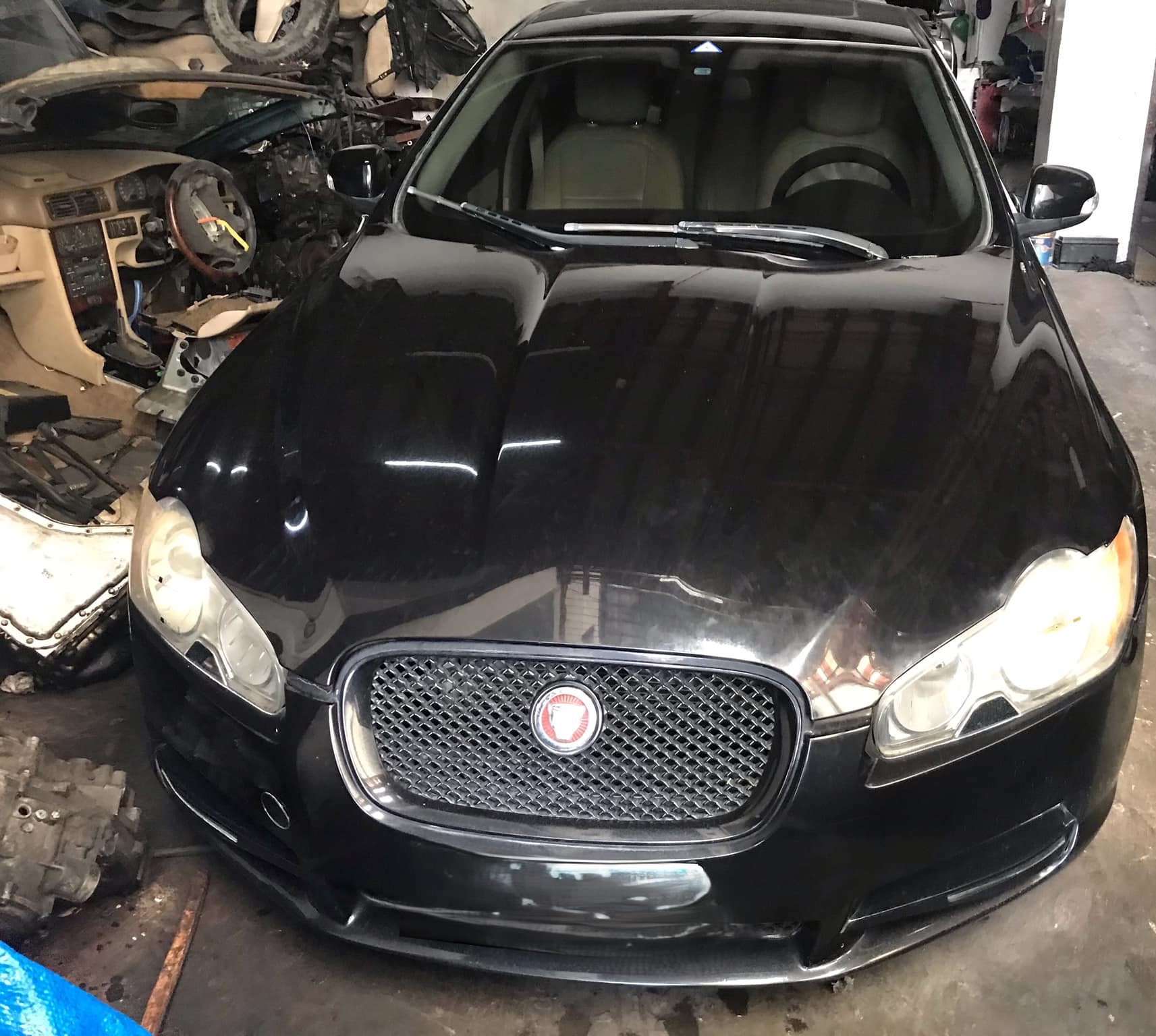Comprehensive Jaguar Repair & Maintenance Services